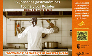 Jornadas naranja tocina