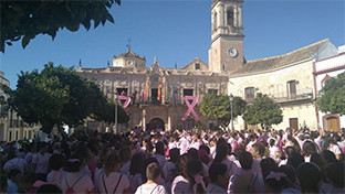 Marcha rosa lora