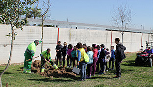 Medioambiente rinconada