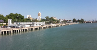 Muelle delicias