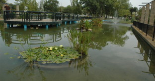 Parque lospalacios