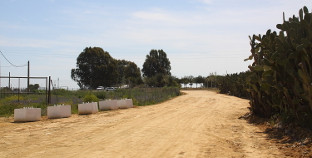 parque_palacios