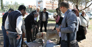 Parque perros