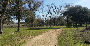 Parque tamarguillo