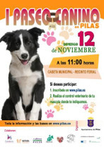 Paseo canino
