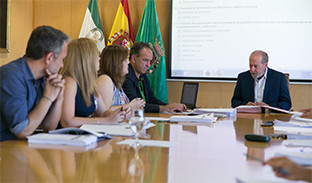 Pleno dipu 1