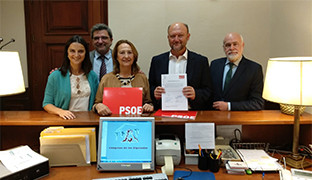 Psoe pico reja