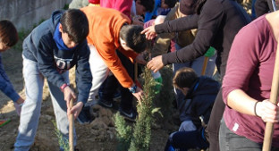 Reforestacion bormujos