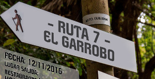 Ruta senderismo guillena