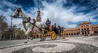 Sevilla congreso