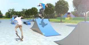 Skate carmona 1