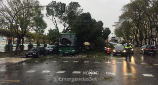 Temporal sevilla