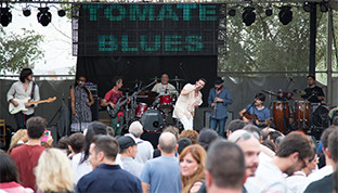 Tomate blues2