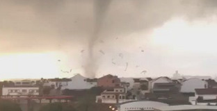 Tornado palos