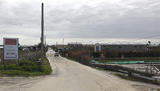 Caminos rurales palacios