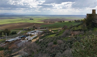 Carmona cambio climatico