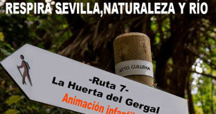 Ruta guillena