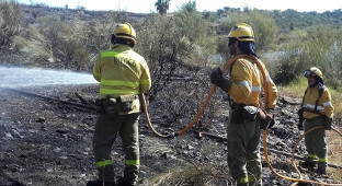 Incendio forestal