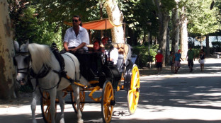 Parque maria luisa