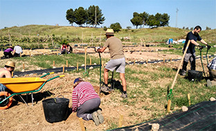 Huertos eolu00f3gicos humana