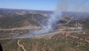 Incendio elgarrobo