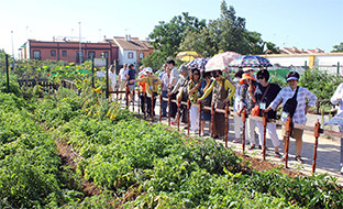 Agricultoras corea la rinconada