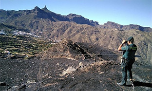 Incendio gran canaria