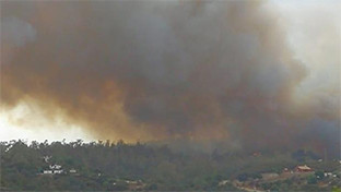 Incendio ronquillo