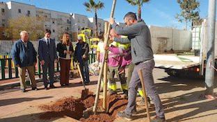 Plantacion arboles poligono sur