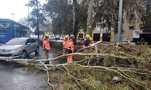 Temporal sevilla