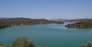 08110815 HUESNA CAPTACION PEDROSO1