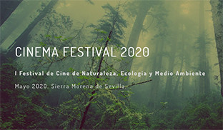 Cinema festival