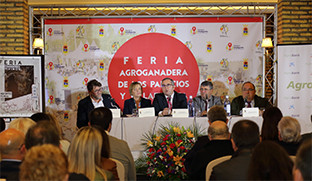 Presentaciu00f3nferia ganadera palacios