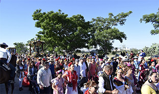 Romeria los palacios