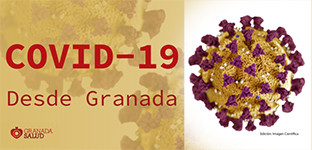 Coronavirus granada investigaciu00f3n