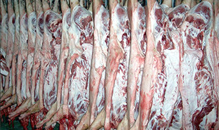 Exportaciu00f3n carne andalucu00eda