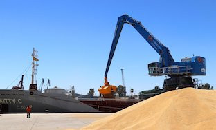 Grua puerto sevilla