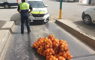 Naranjas robadas