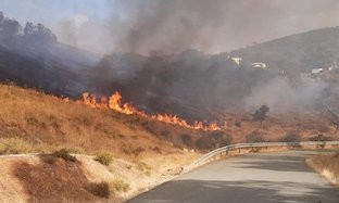 Incendio ronquillo