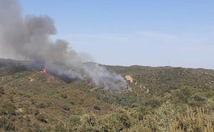 Incendio aznalcollar