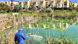 Fumigación tomares virus nilo