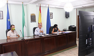 Pleno virtual san juan