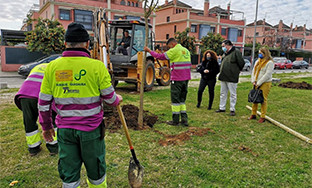 Arboles parque guadau00edra