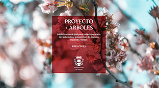 Proyecto arboles brenes