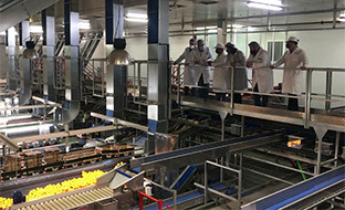 Cooperativa san sebastiu00e1n Lora