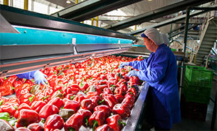 Exportaciones Andalucía