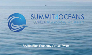 Summit ocean