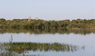 Humedales palacios