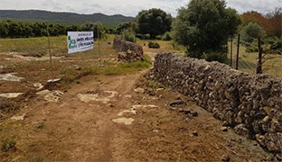 Caminos rurales