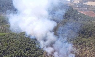 Incendio montellano